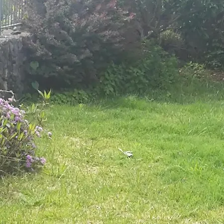 Poggio Sambuco * 维格兰德